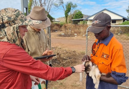 Preparing for emergencies – working together to collect companion animal population information