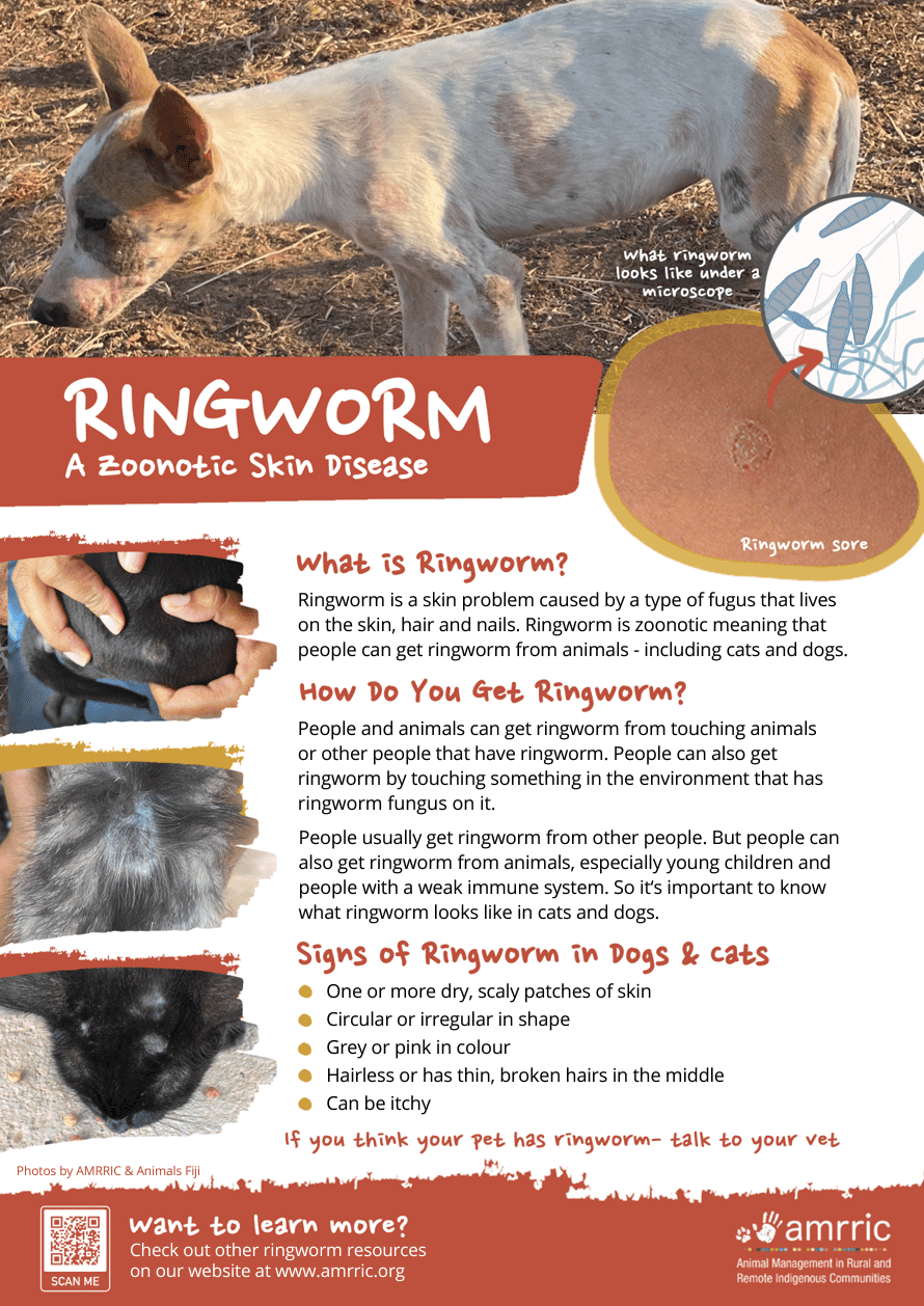 Ringworm Resources AMRRIC