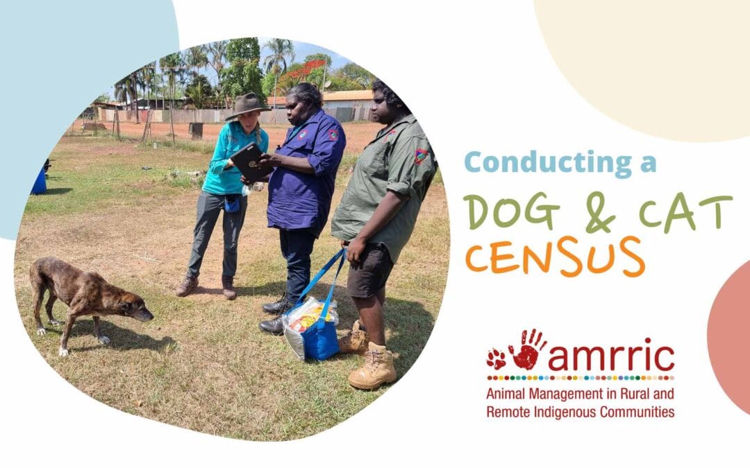 Conducting a companion animal census – a brief guide