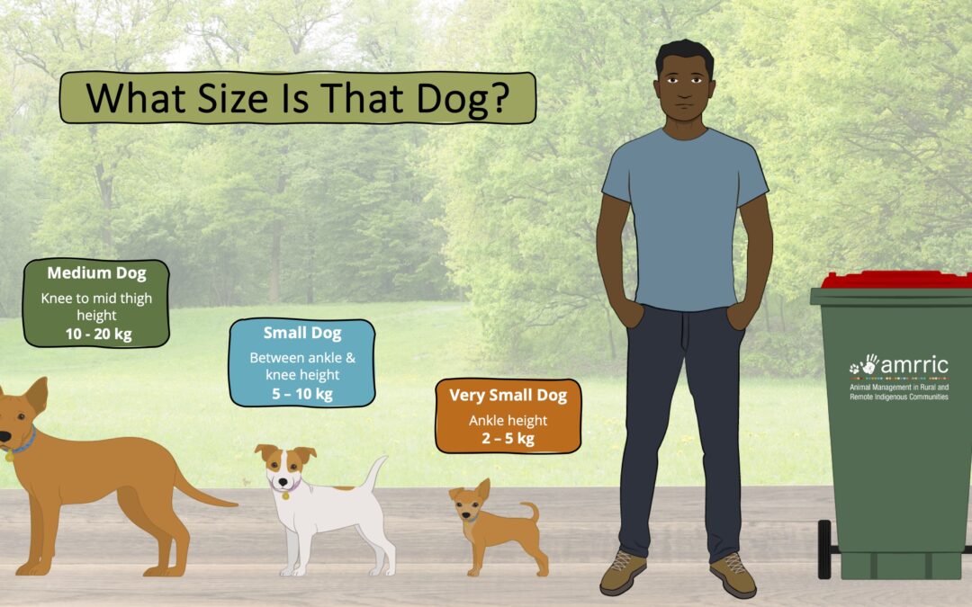 Dog Sizing Guide