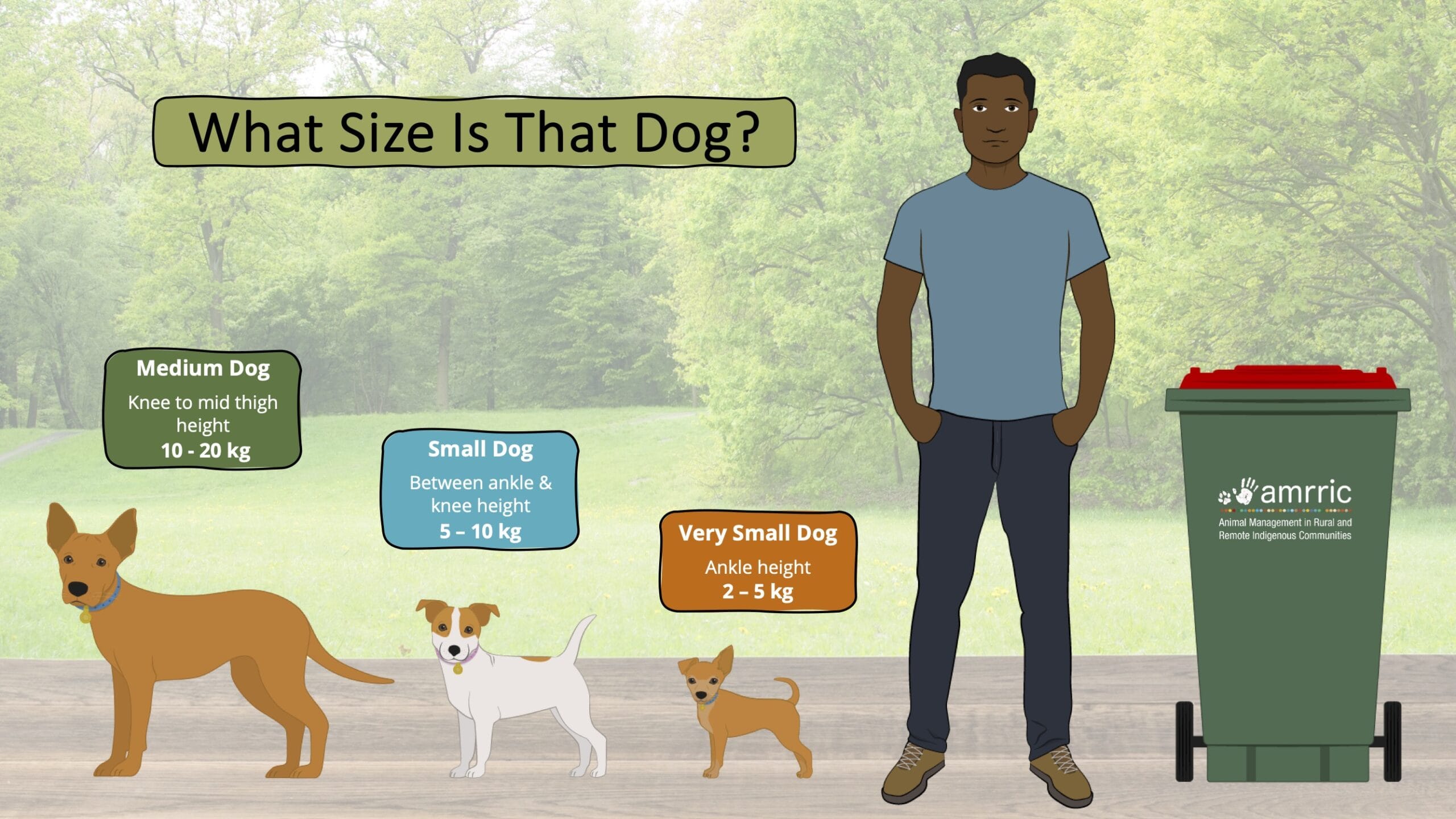 Dog Sizing Guide AMRRIC