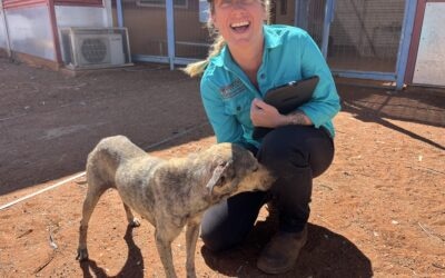 Paw-some program in APY Lands