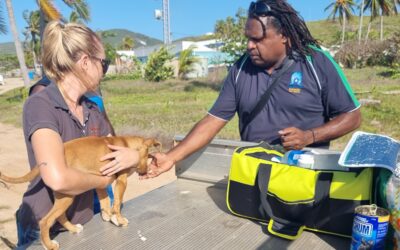 AMRRIC Launches Biosecurity Pilot Project Evaluation in National Biosecurity Week