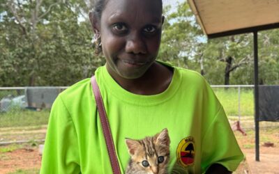One Health in Action: AMRRIC Supports Healthy Skin Week in Maningrida