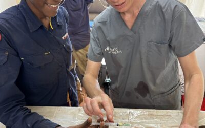 Building local capability in animal health and management